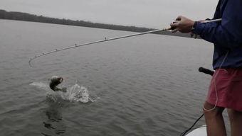 钓鱼海杆视频,视频教学带你轻松上钩